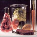 test tube food